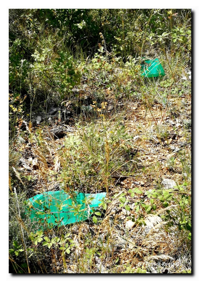 plastique agricole