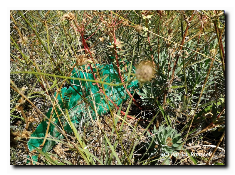 plastique agricole