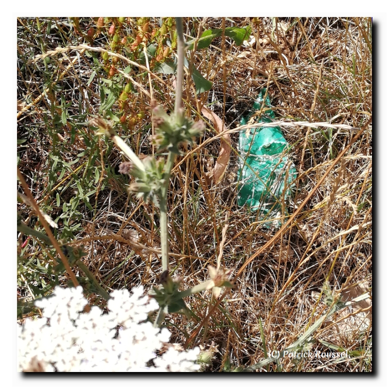 plastique agricole