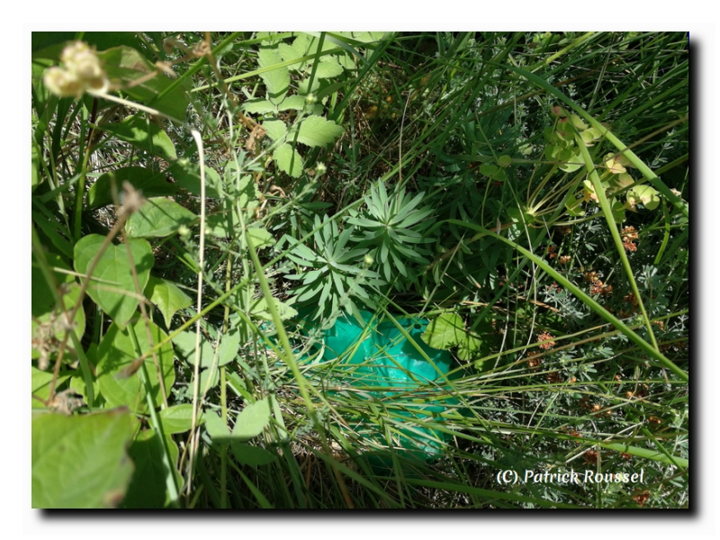 plastique agricole