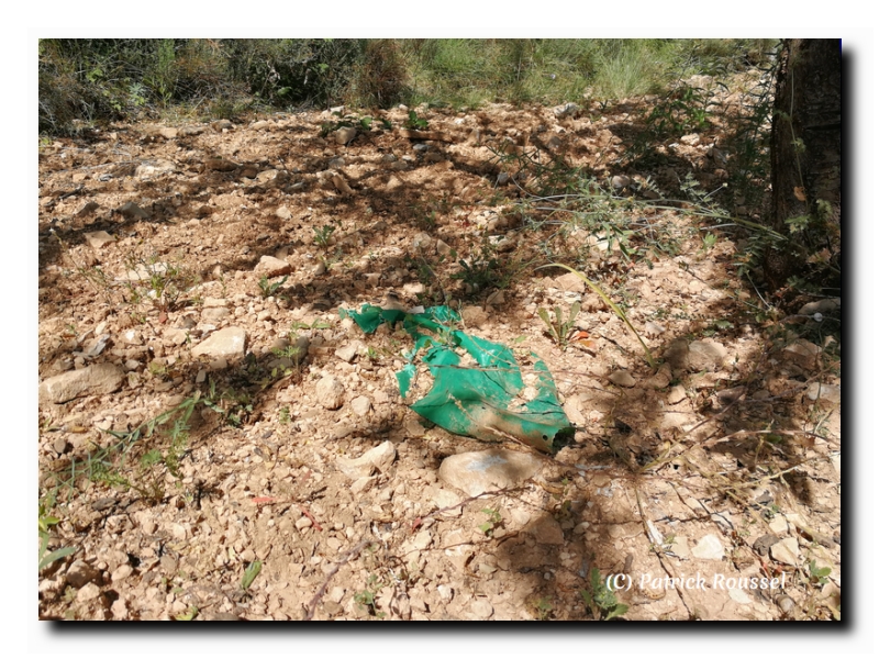 plastique agricole