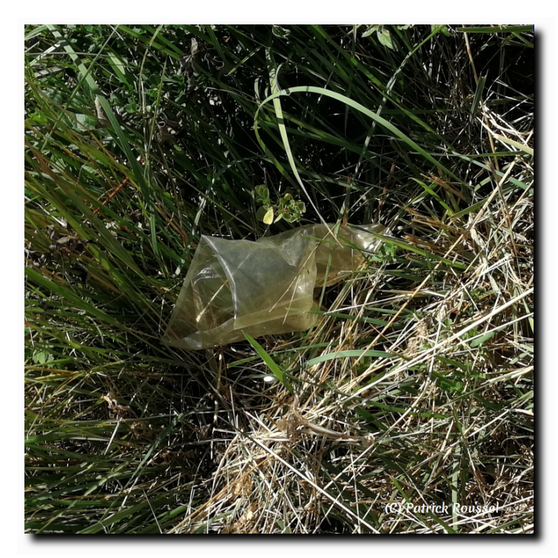 plastique jaune