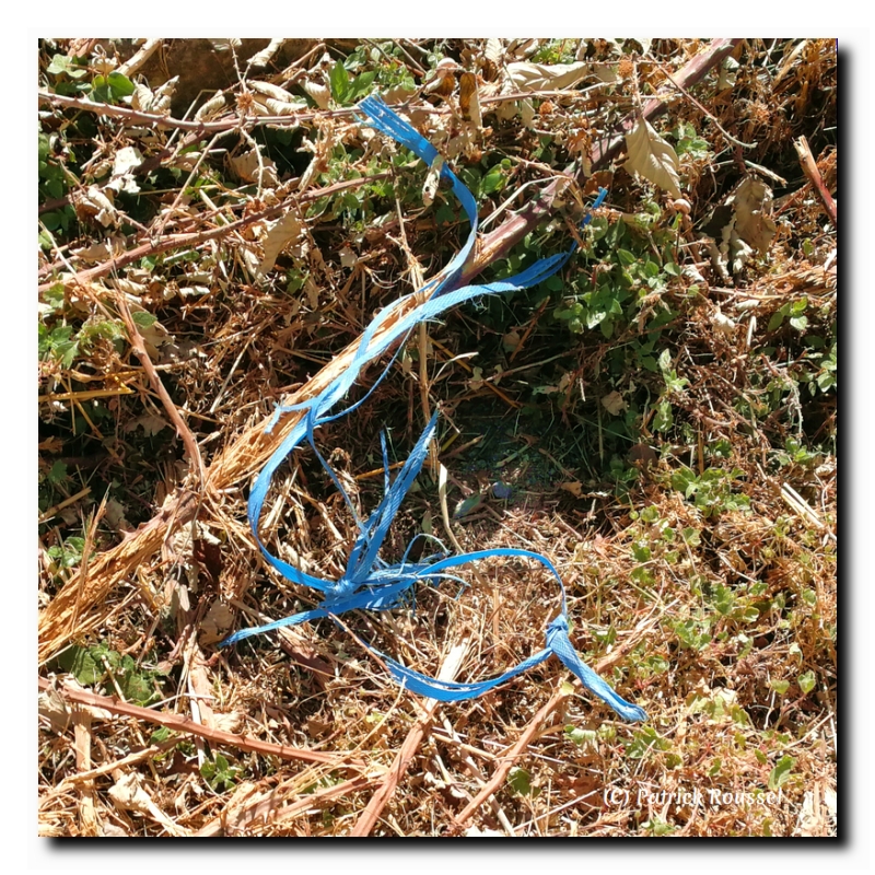 ficelle bleue