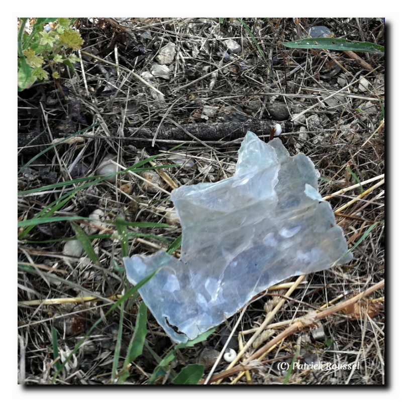 plastique pour chats