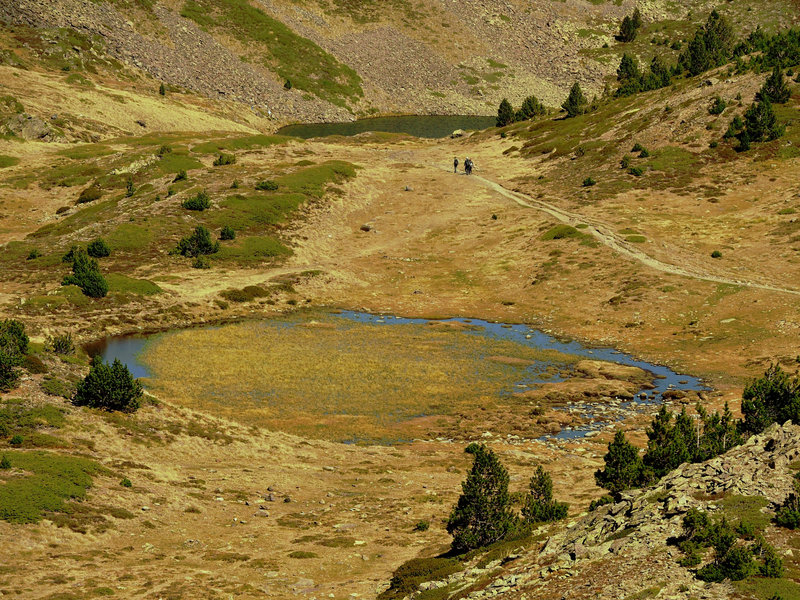 en chemin, paysage de montagne